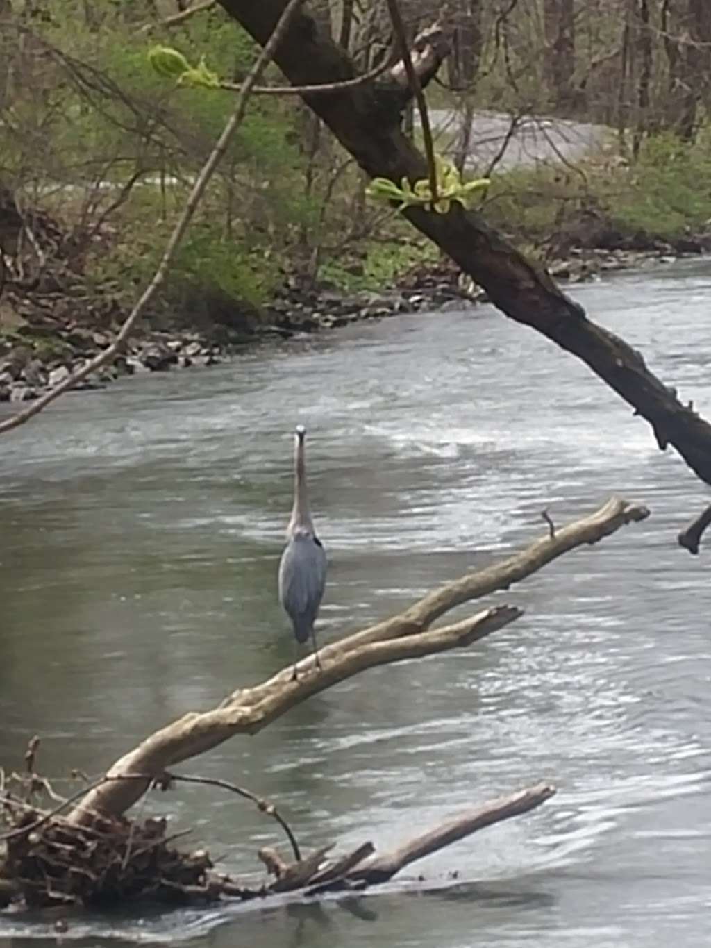 Tulpehocken Creek Trail/Union Canal Trail | Union Canal Trail, Reading, PA 19601, USA