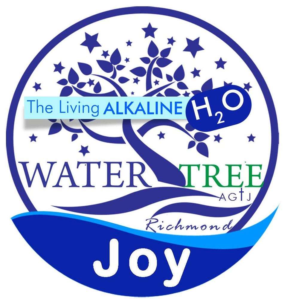 Water Tree Richmond | 17145 Westheimer Rd, Houston, TX 77082 | Phone: (281) 787-7789