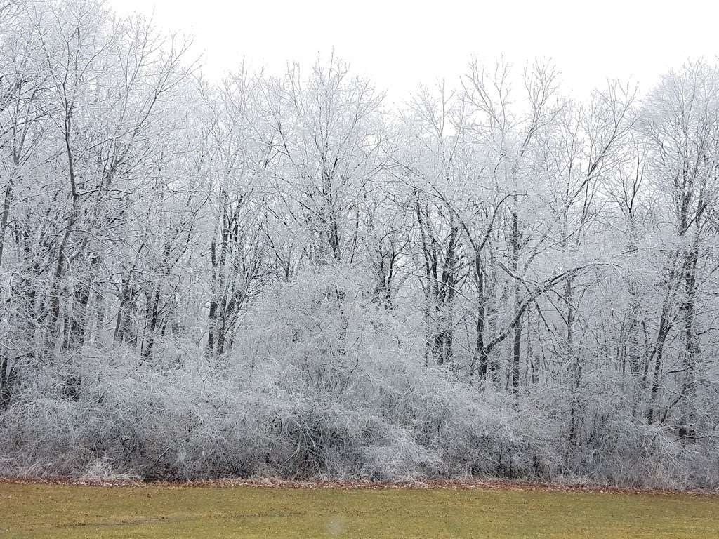 Camp Alphonse | 1393 W Dundee Rd, Palatine, IL 60067, USA | Phone: (800) 870-3666