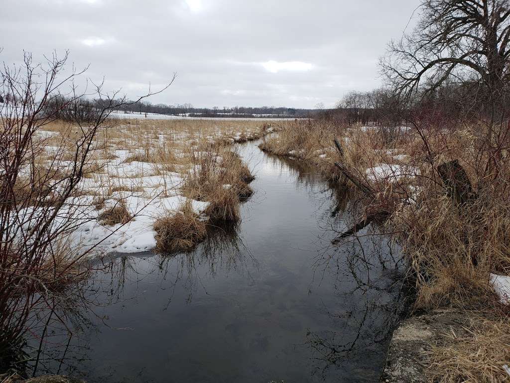 Tichigan Wildlife Area | Marsh Rd, Waterford, WI 53185, USA | Phone: (888) 936-7463