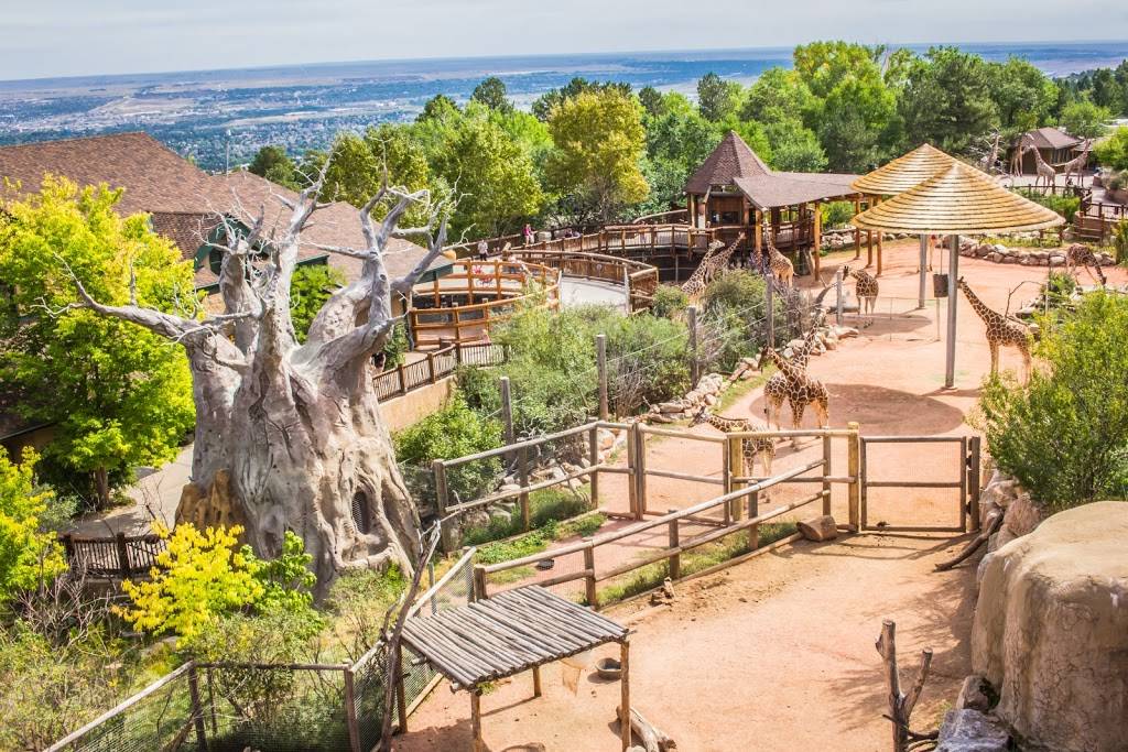 Cheyenne Mountain Zoo | 4250 Cheyenne Mountain Zoo Rd, Colorado Springs, CO 80906, USA | Phone: (719) 633-9925