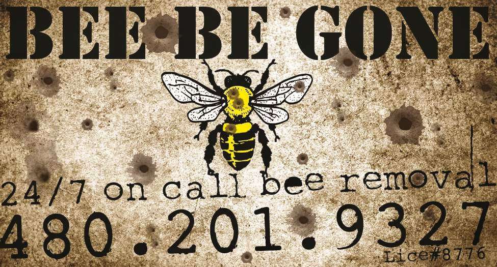 BEE BE GONE | Phoenix, AZ 85070, USA | Phone: (480) 201-9327