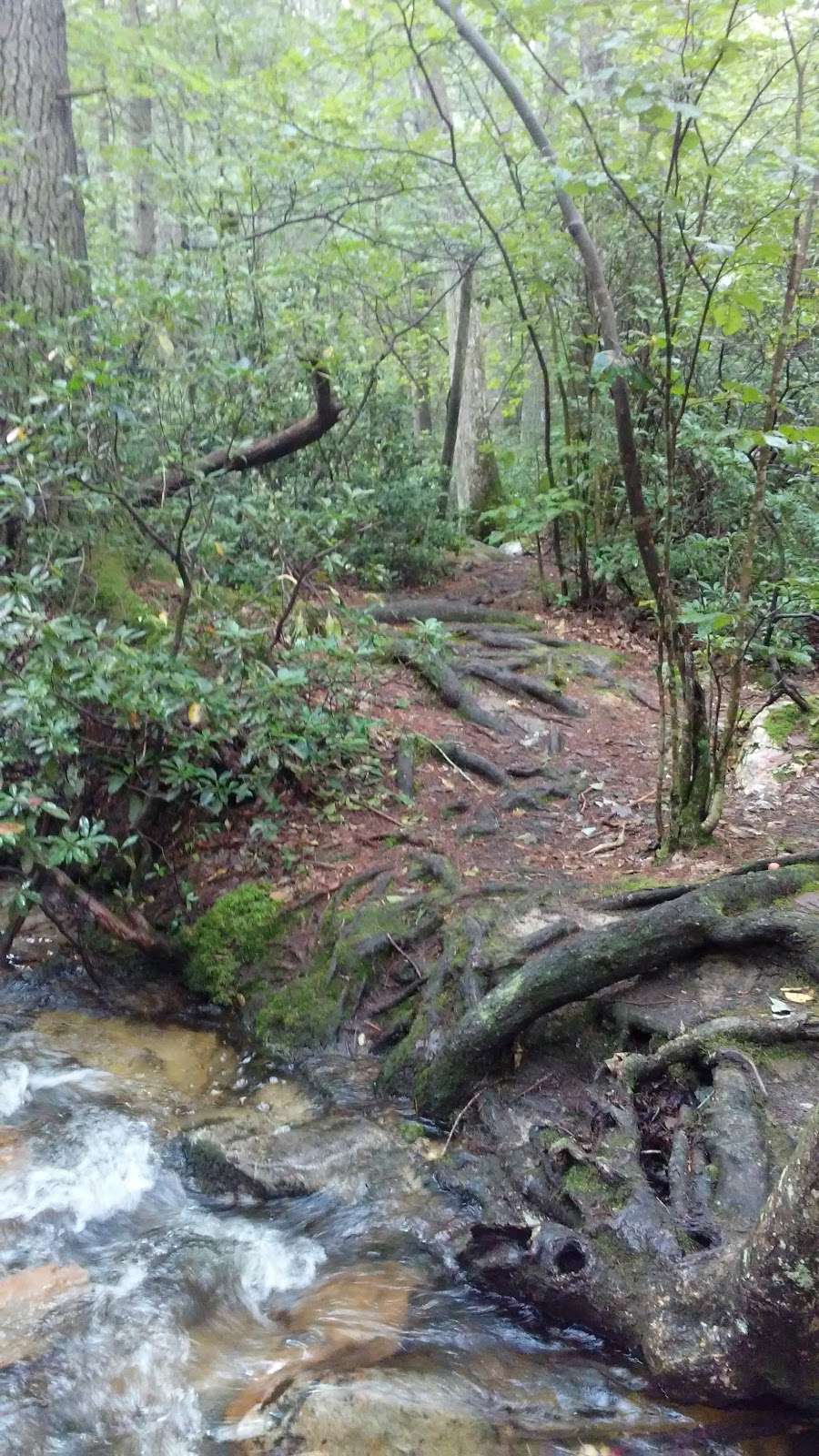 Blueberry Trail Trailhead tumbling run | Centerville Rd, Gardners, PA 17324, USA