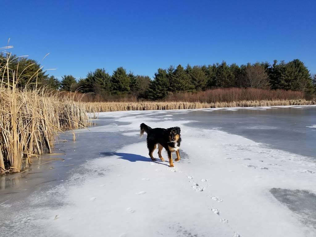 Fermilab Dog Training Area | Batavia Rd, Warrenville, IL 60555, USA | Phone: (630) 840-4845