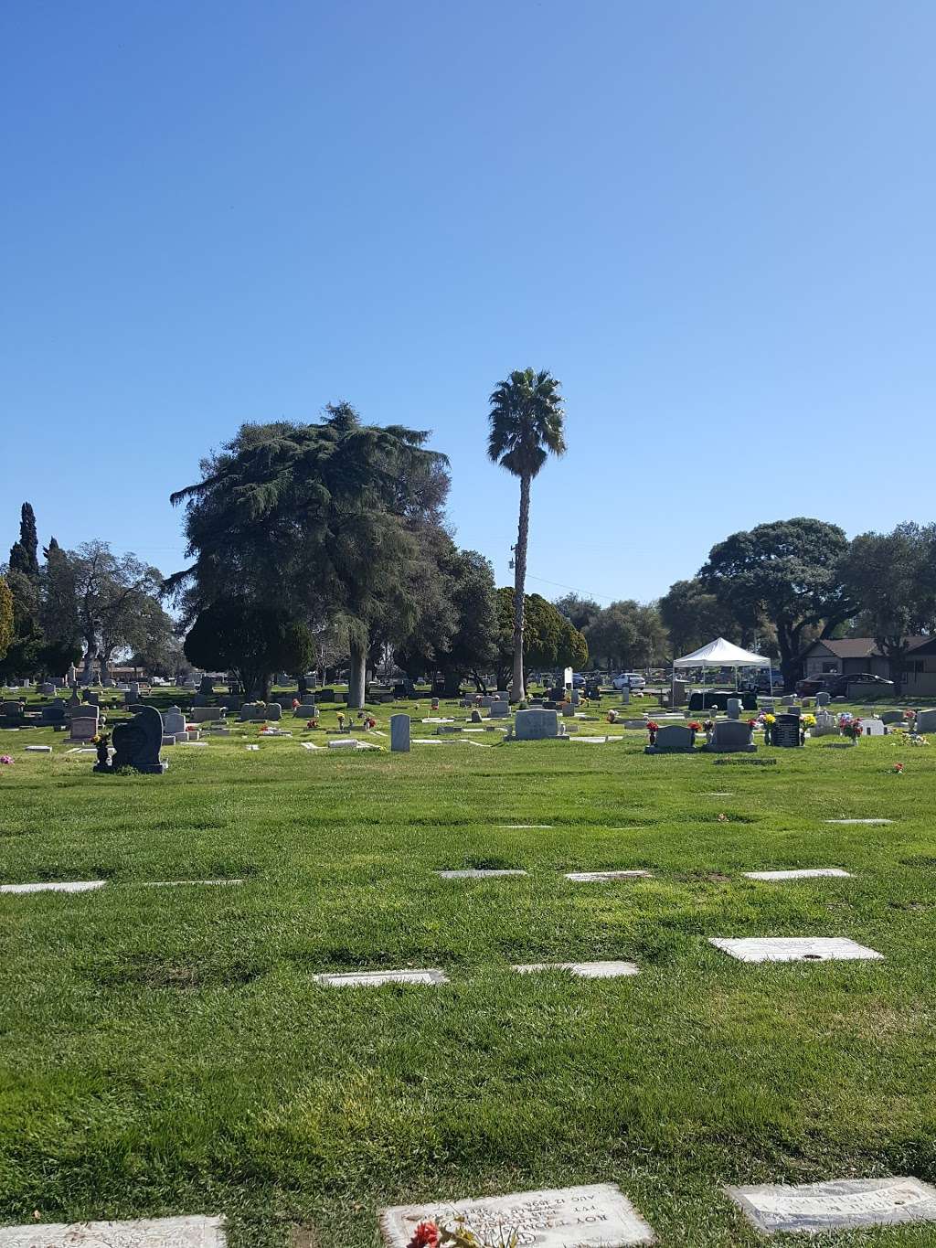 Oak View Memorial Park Cemetery | 2500 E 18th St, Antioch, CA 94509, USA | Phone: (925) 757-4500