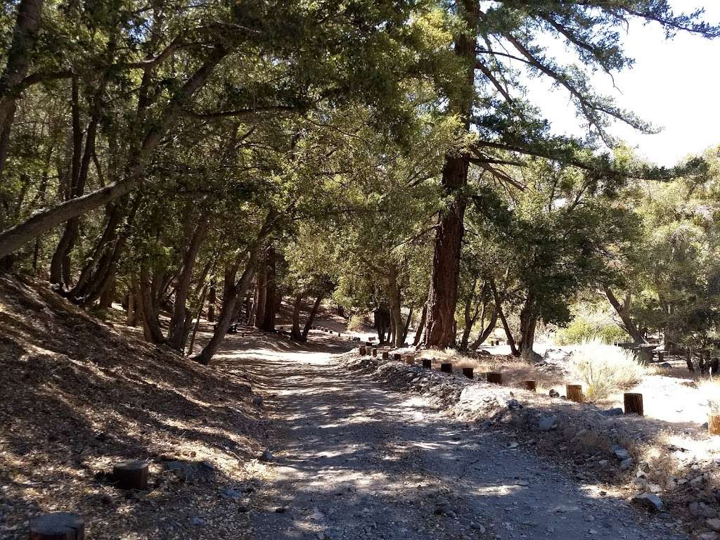 Big Rock Campground | Valyermo, CA 93563, USA