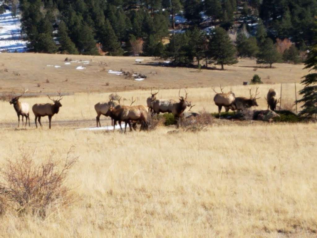 Majestic Mountains Scenic Rides | 408 Skyway Dr, Fort Collins, CO 80525 | Phone: (970) 829-9549