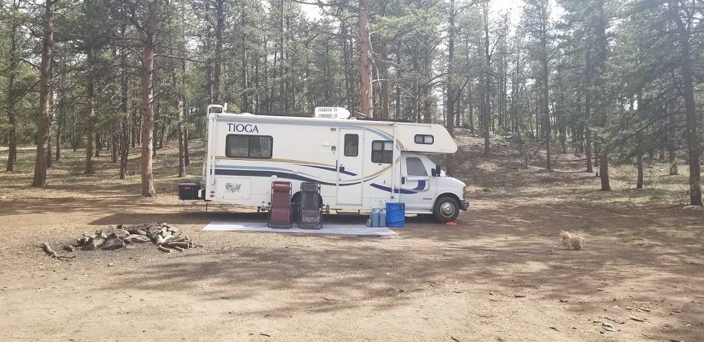 Badger Flats Campsite | Forest Rd 224, Lake George, CO 80827, USA