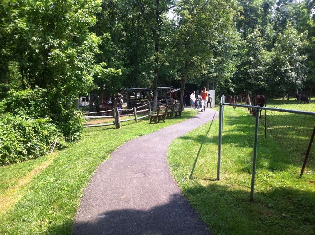 Land of Little Horses Performing Animal Theme Park | 125 Glenwood Dr, Gettysburg, PA 17325, USA | Phone: (717) 334-7259