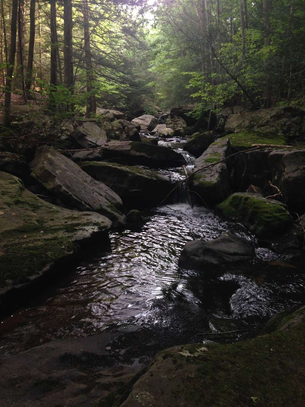 Seven Tubs Nature Area | 900 Bear Creek Blvd, Wilkes-Barre, PA 18702, USA | Phone: (570) 675-1312