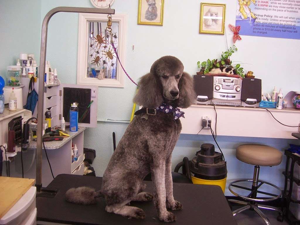 Bavettes Grooming Spa | 603 Francisquito Ave, West Covina, CA 91790 | Phone: (626) 917-8214