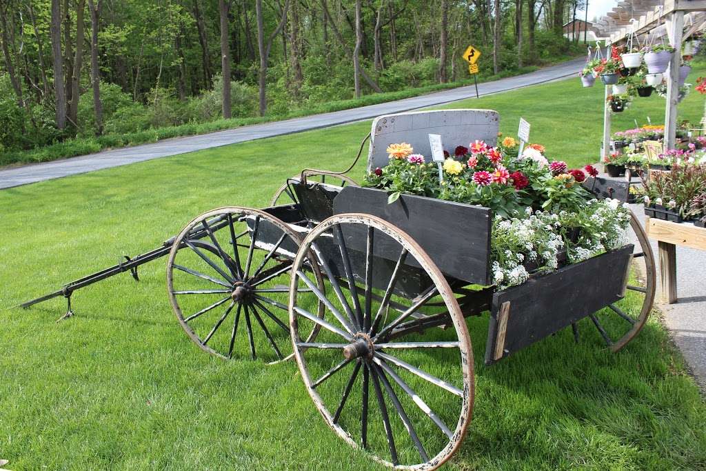 Hill Farm Greenhouse | 50 Rhine Rd, Newmanstown, PA 17073, USA | Phone: (717) 949-2757