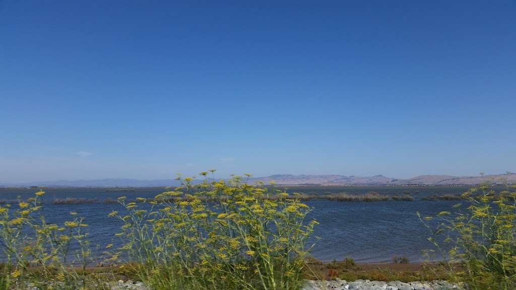 San Pablo Bay National Wildlife Refuge | 2100 CA-37, Petaluma, CA 94954, USA | Phone: (707) 769-4200