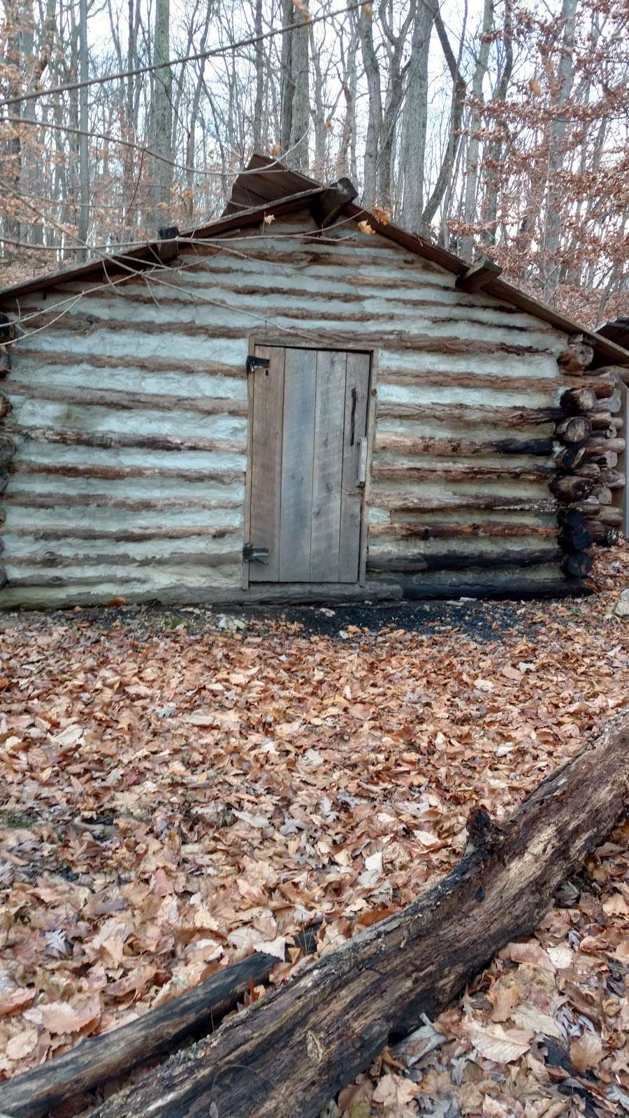 Morven Park Coach House | 17169-17321 Southern Planter Ln, Leesburg, VA 20176, USA | Phone: (703) 777-2414