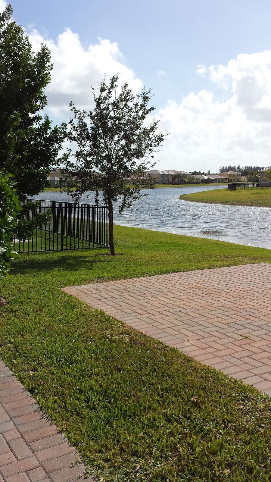 Pond Cypress Natural Area | 301 N Olive Ave, West Palm Beach, FL 33401 | Phone: (561) 233-2400