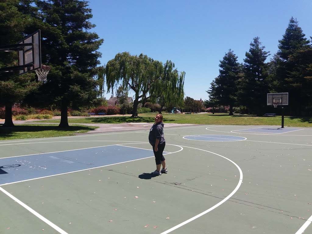 Shad Park | Foster City, CA 94404, USA