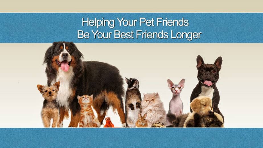 Northbrook Animal Hospital | 7933 W River Rd, Brooklyn Park, MN 55444, USA | Phone: (763) 560-5320