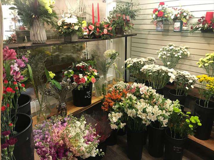 Johnsons Greenhouses | 447 S Governors Hwy, Peotone, IL 60468, USA | Phone: (708) 258-3244