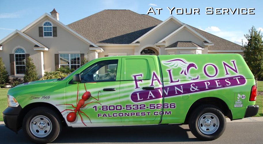 Falcon Lawn & Pest | 3100 NE 37th Pl, Wildwood, FL 34785, USA | Phone: (352) 689-0050