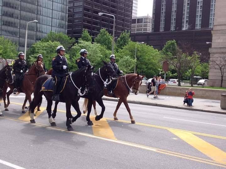 Police-Mounted Unit | 1150 E 38th St, Cleveland, OH 44114, USA | Phone: (216) 623-5653
