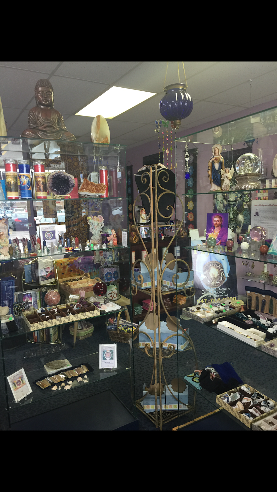 Psychic Medium | 650 Meacham Rd, Elk Grove Village, IL 60007 | Phone: (847) 764-2700