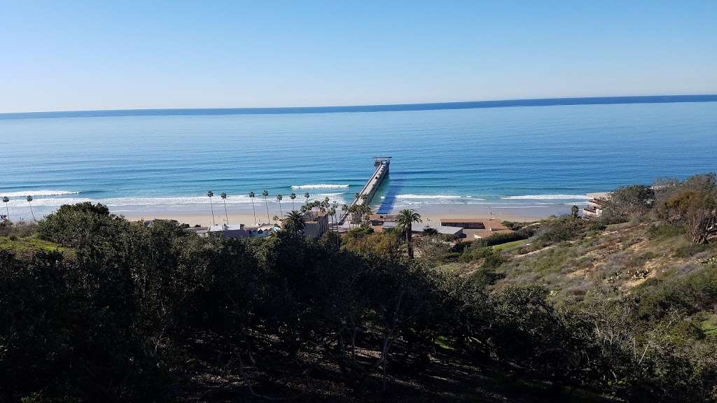 Center for Coastal Studies | La Jolla, CA 92037, USA