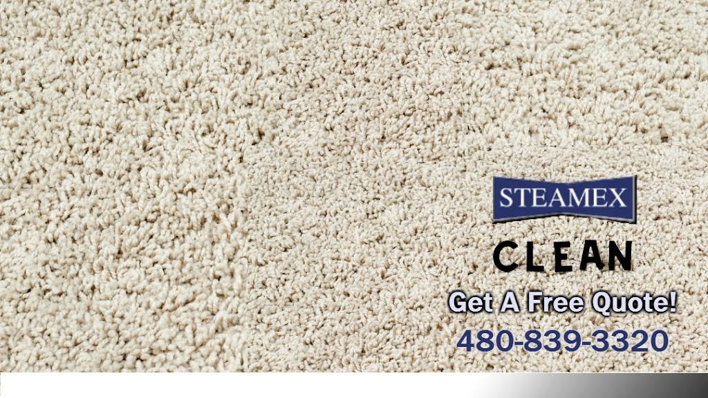 Steamex Carpet & Tile Cleaning | 2346 E Devonshire Ave, Phoenix, AZ 85016, USA | Phone: (480) 839-3320