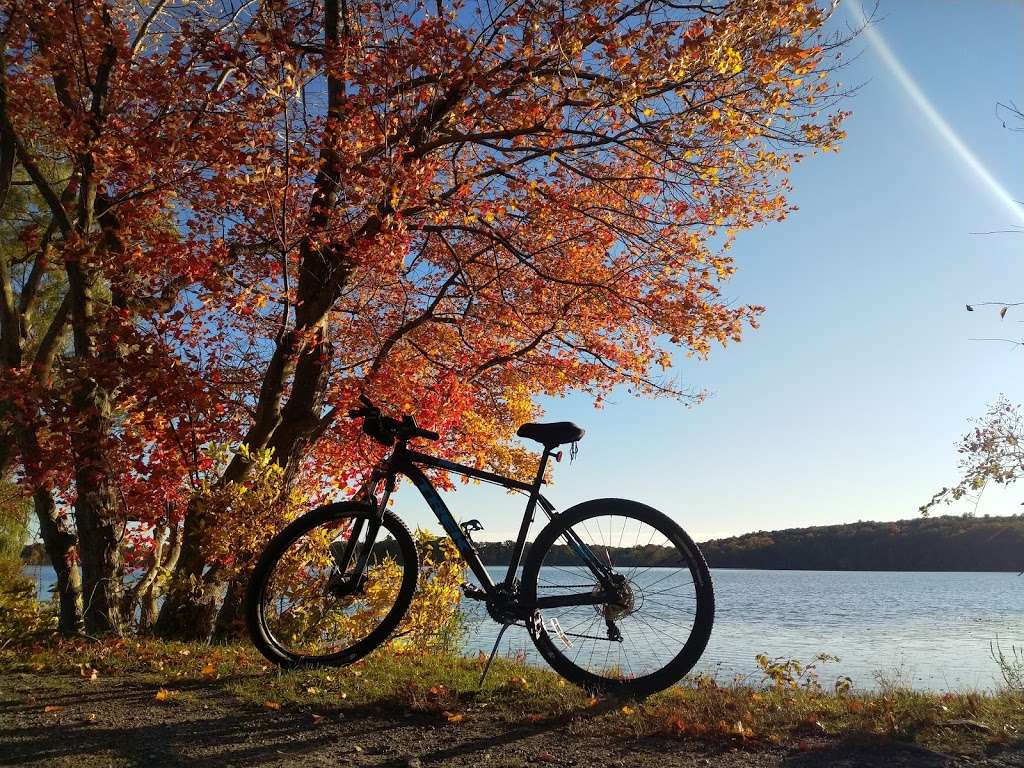 Lake chauncy trail head | Westborough, MA 01581, USA