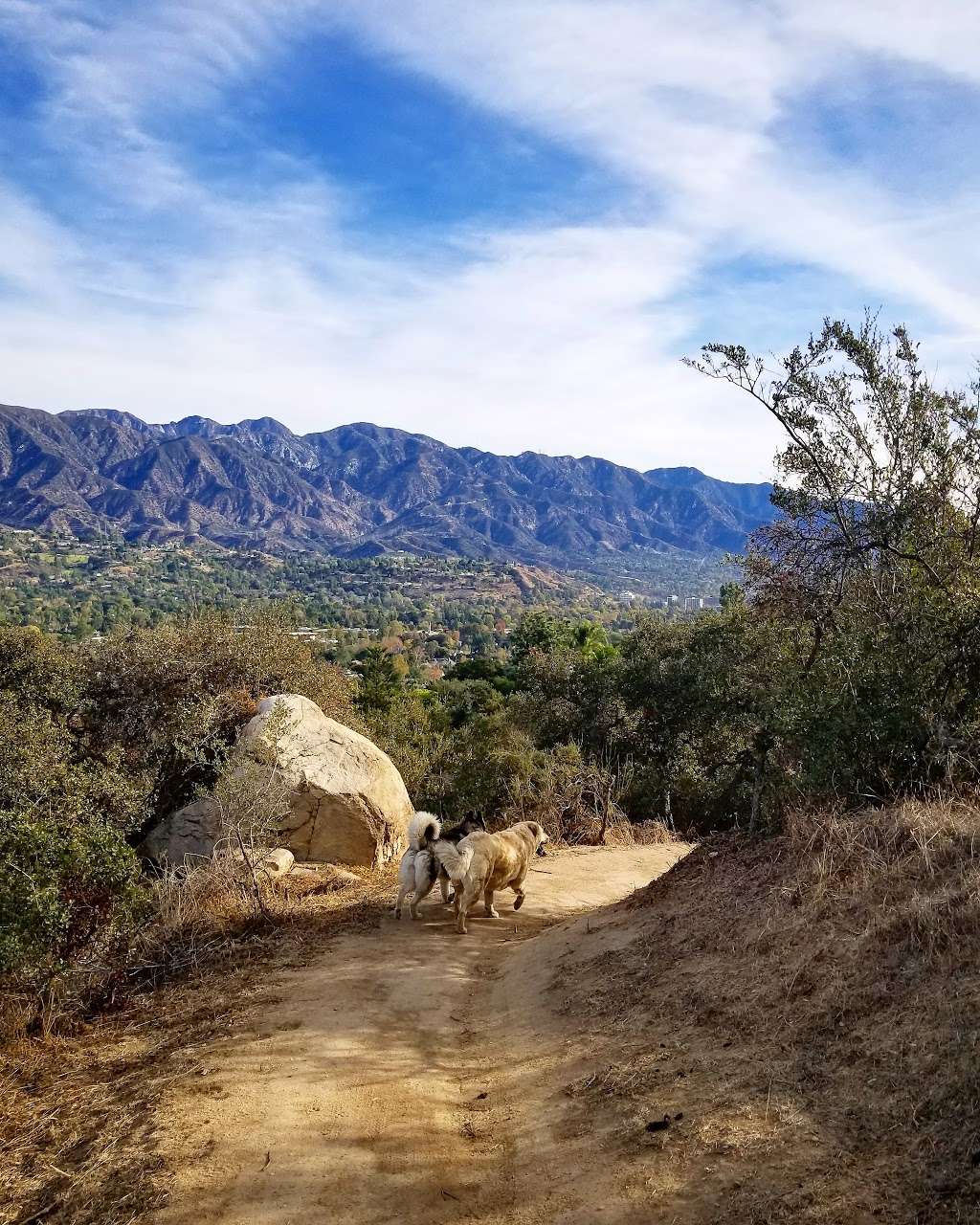 Cherry creek park | 4171 Cherry Canyon Motorway, La Cañada Flintridge, CA 91011