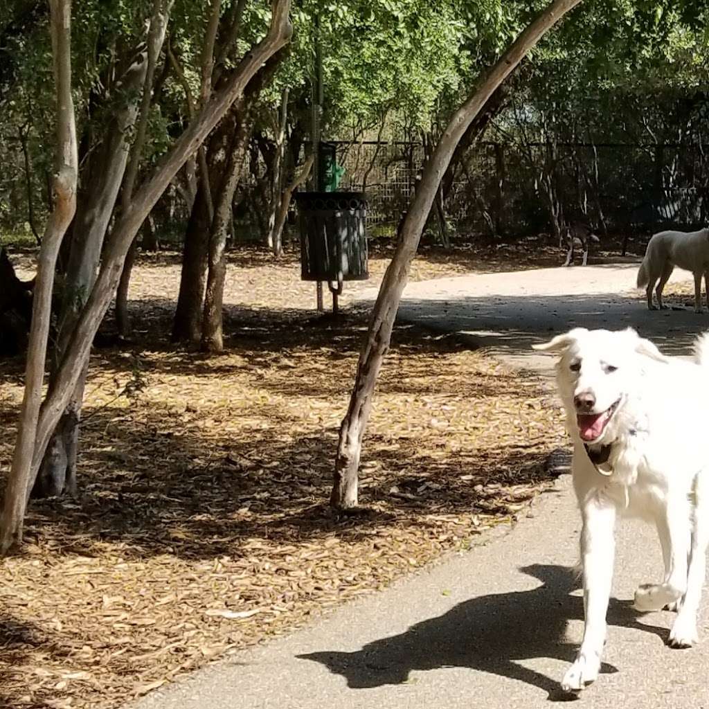 Mcallister Park Dog Park | Buckhorn Rd, San Antonio, TX 78247, USA