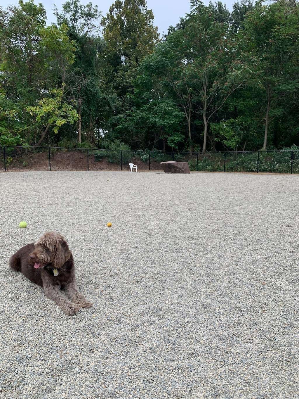 Bergenfield Dog Park | Bergenfield, NJ 07621, USA