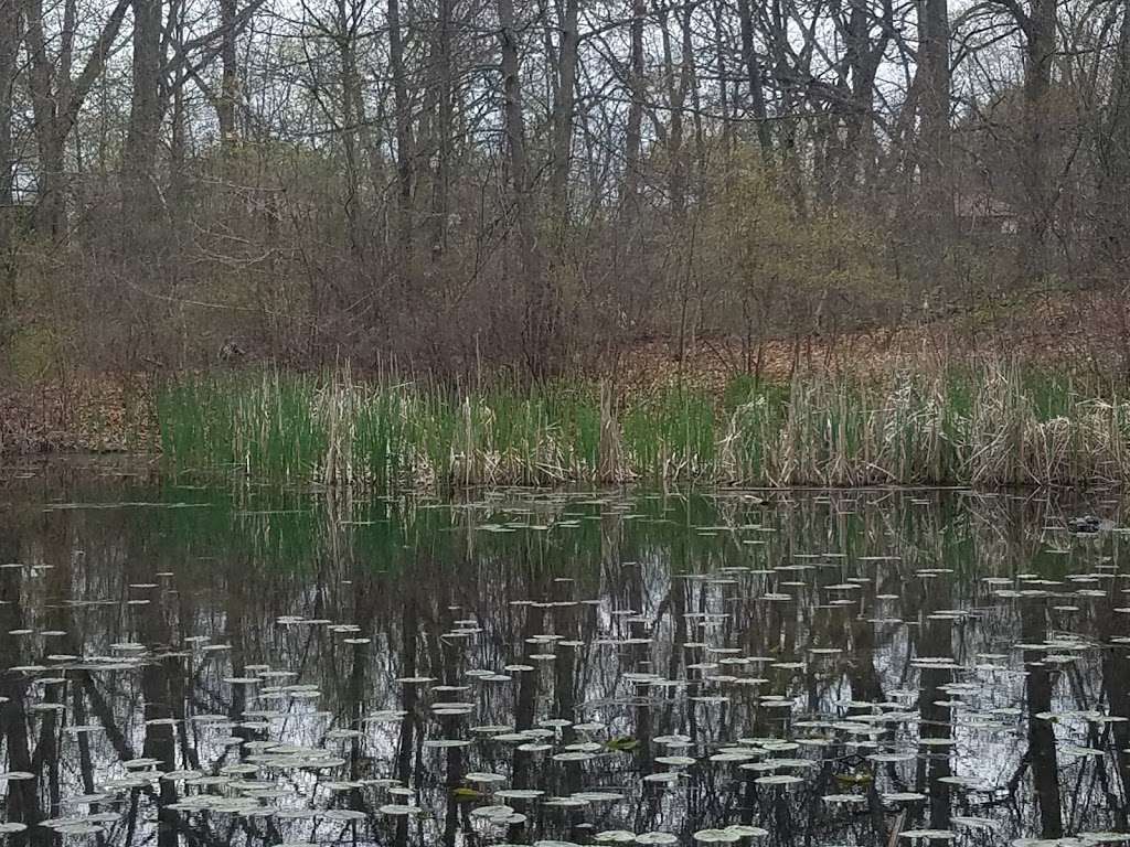 Ten Mile River Preservation Trail | Unnamed Road, Pawtucket, RI 02861, USA