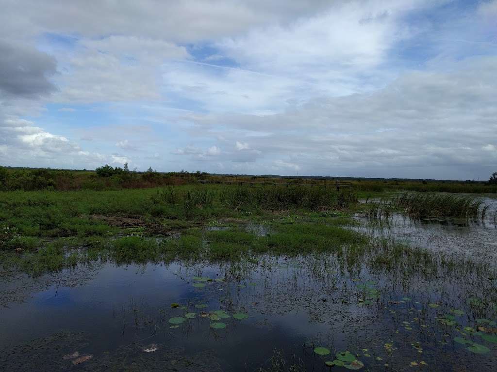 Twin Oaks Conservation Area | 2001 Macy Island Rd, Kissimmee, FL 34744, USA
