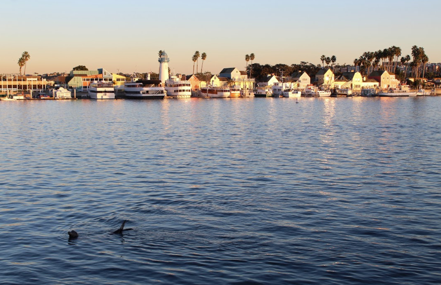 Los Angeles Yacht Charter | 13701 Fiji Way dock 55, Marina Del Rey, CA 90292, USA | Phone: (424) 328-1417