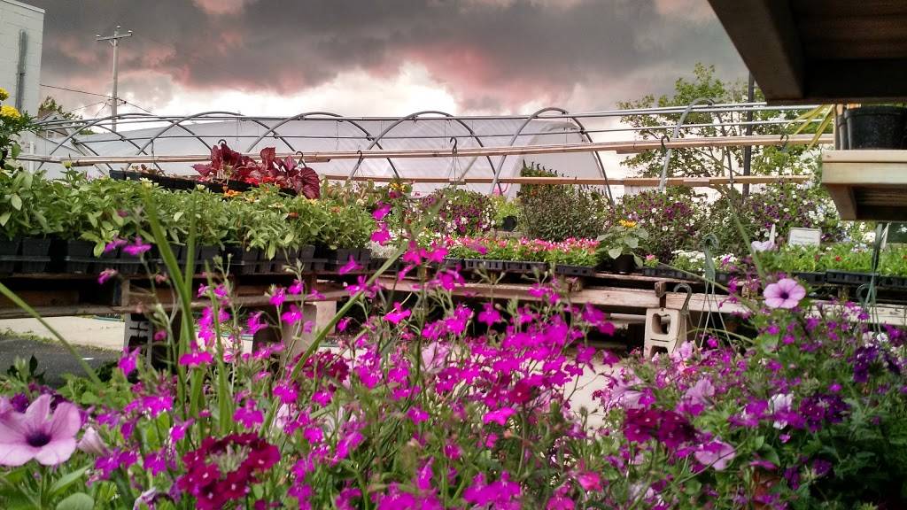 Milwaukee Community Greenhouses | 9801 W Capitol Dr, Milwaukee, WI 53222, USA | Phone: (414) 559-2438