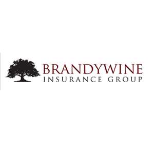 Brandywine Insurance Group LLC | 2 Ponds Edge Dr, Chadds Ford, PA 19317, USA | Phone: (610) 335-1888