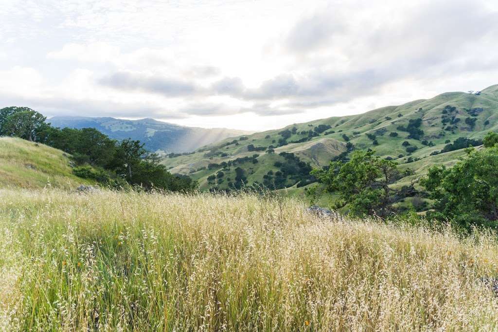 Sunol Backpack Camp | Sunol, CA 94586, USA | Phone: (888) 327-2757