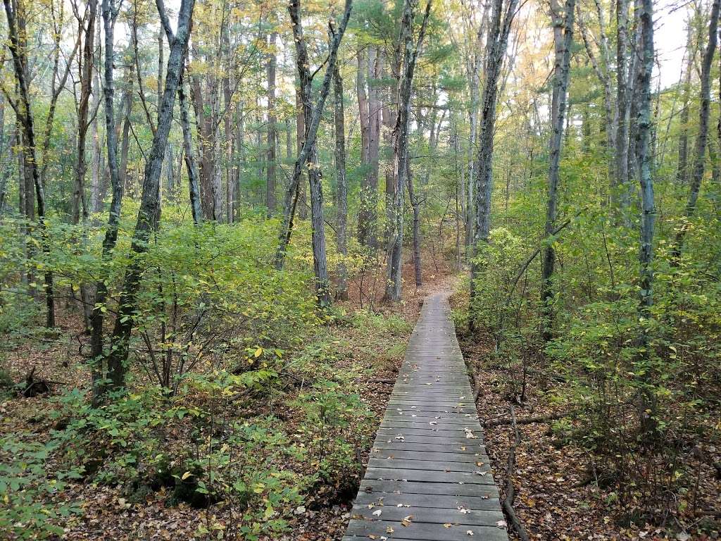Burlington Landlocked Forest | Yellow Loop Trail, Lexington, MA 02420, USA | Phone: (781) 270-1600
