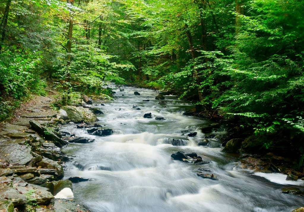 Falls Trail | Ricketts Glen Falls Trail, Benton, PA 17814, USA