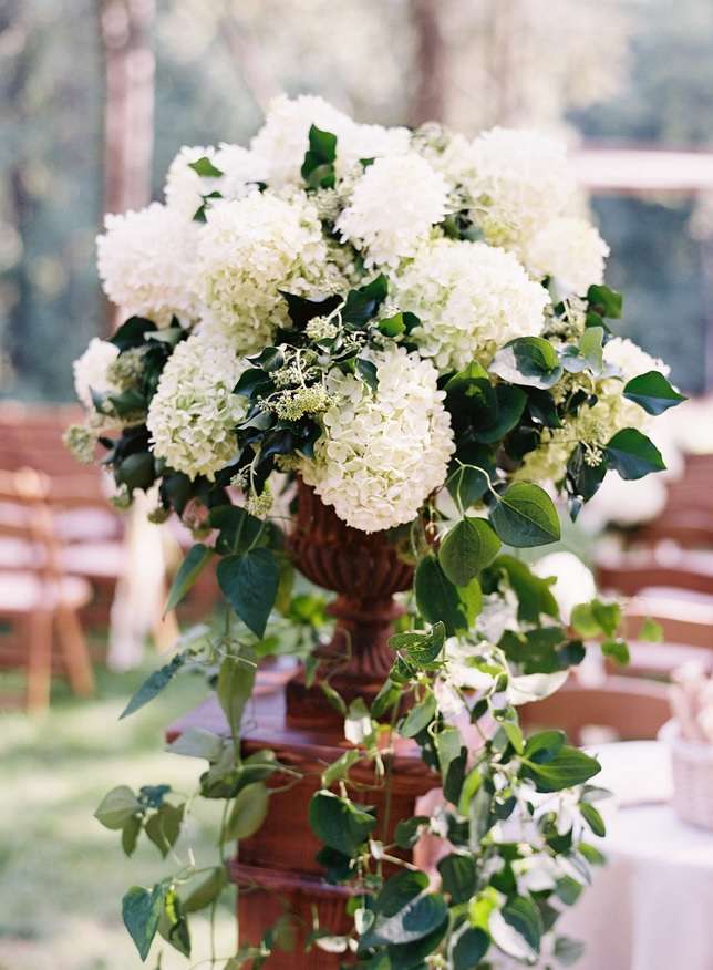 Amaryllis Floral and Event Design | 3701 West St, Landover, MD 20785, USA | Phone: (240) 770-8600