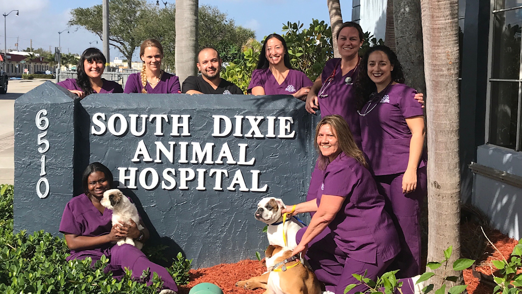 South Dixie Animal Hospital | 6510 S Dixie Hwy, West Palm Beach, FL 33405, USA | Phone: (561) 585-0097