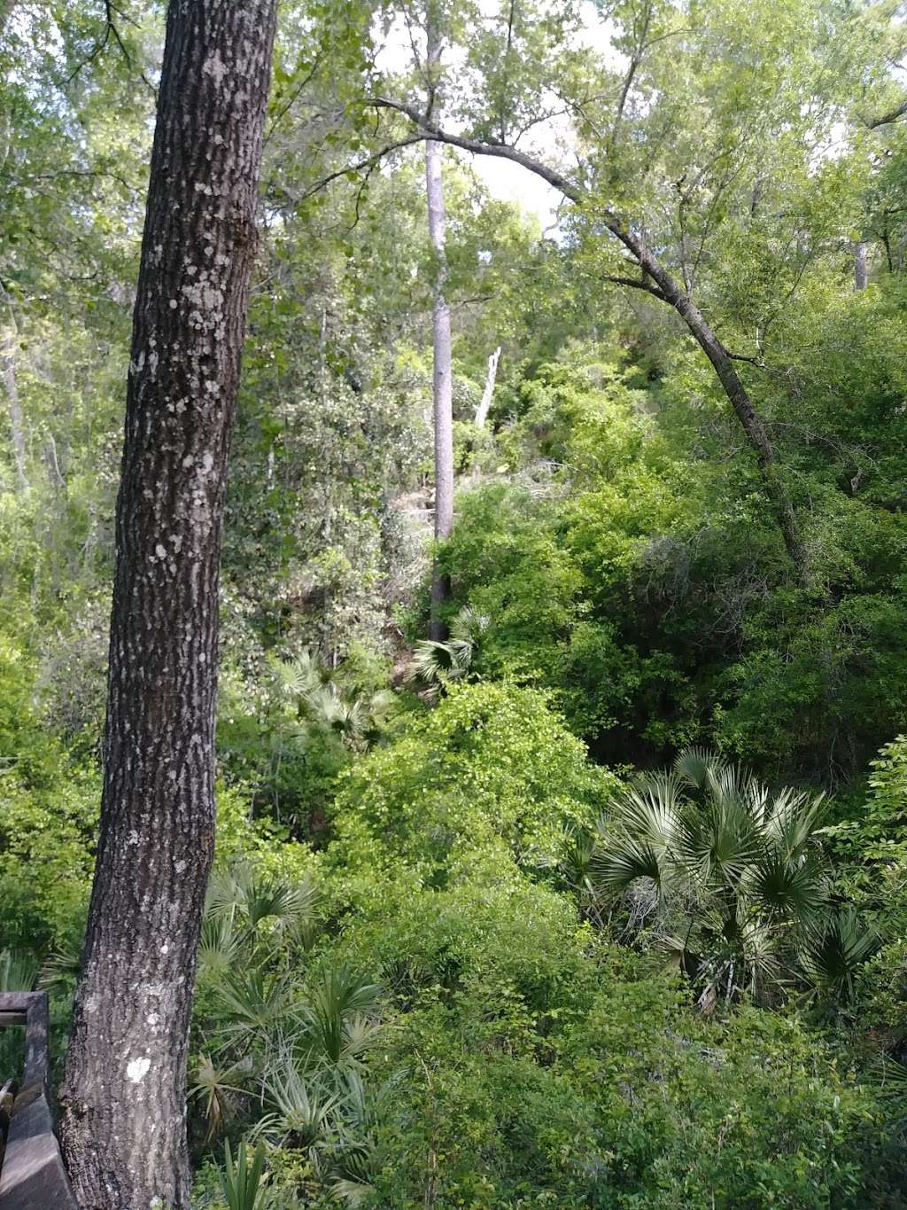 Lake Eaton Trail Head | Silver Springs, FL 34488, USA