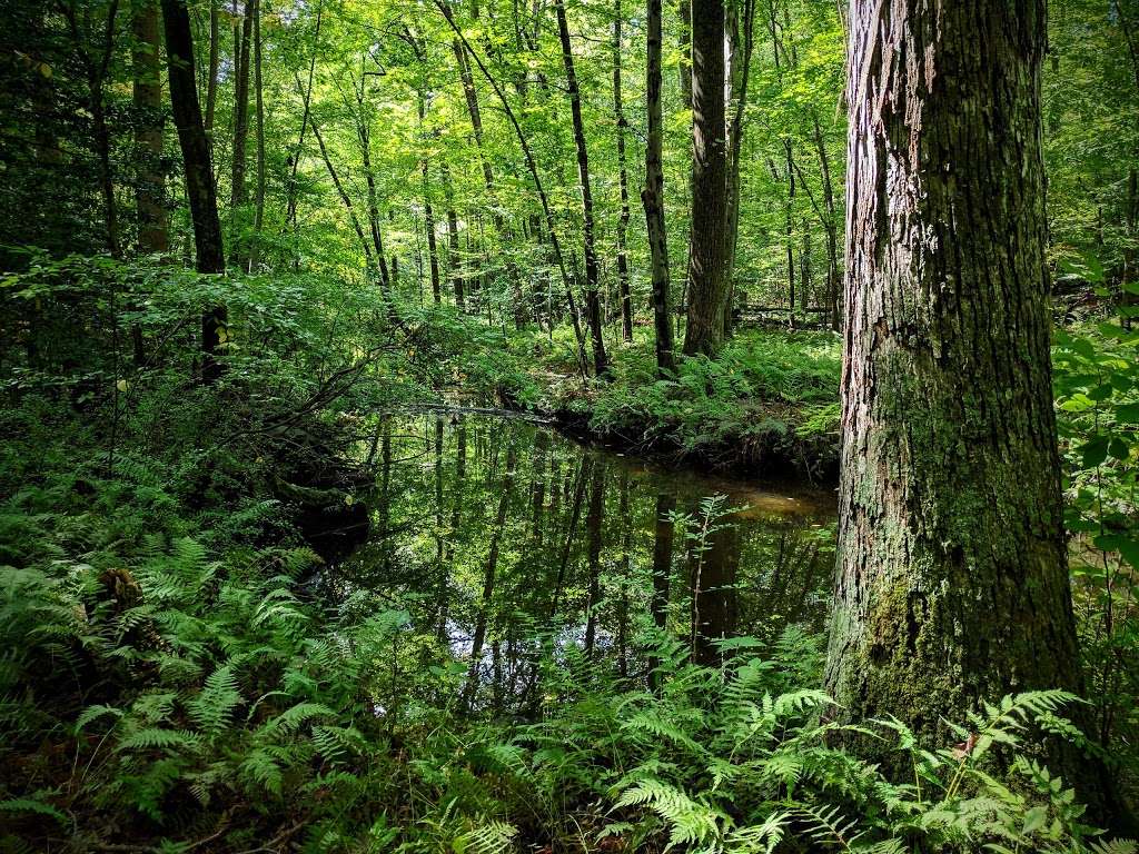 Babcock Preserve | Greenwich, CT 06831, USA