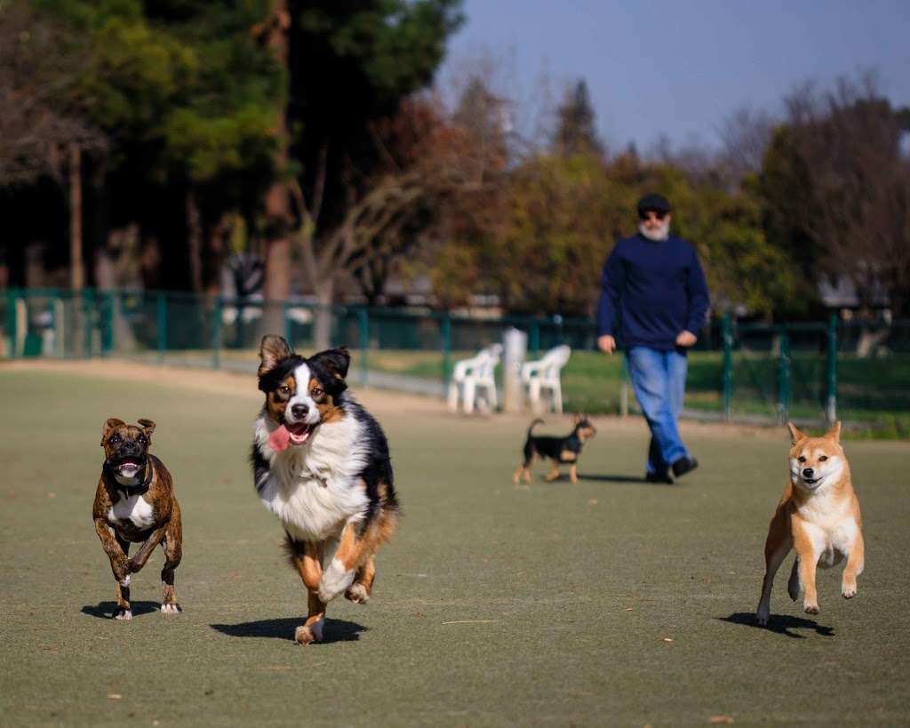 Saratoga Creek Dog Park | 5399 Graves Ave, San Jose, CA 95129, USA