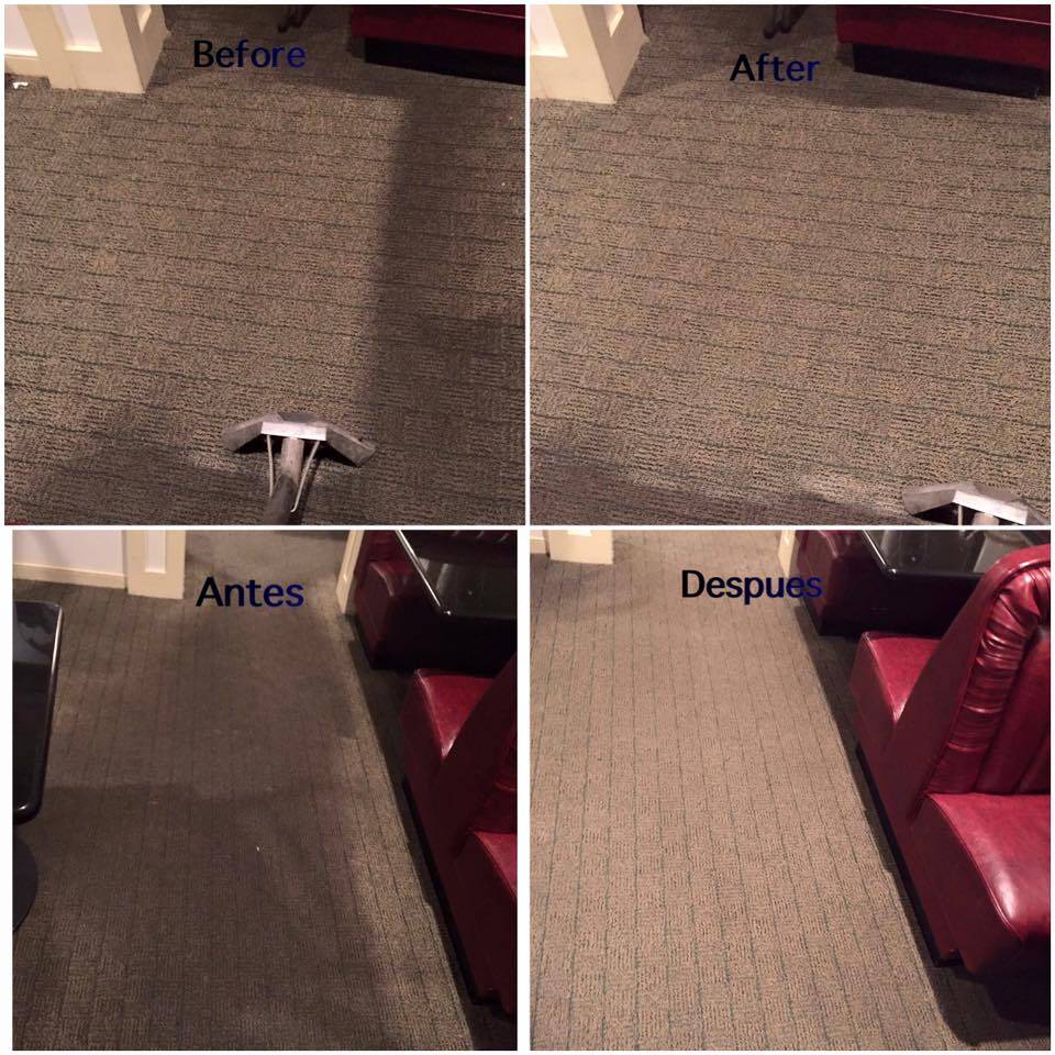 The Boss Carpet & Floor Cleaning, LLC | 2507 Exhall Ct, Chester, VA 23831, USA | Phone: (804) 922-2002