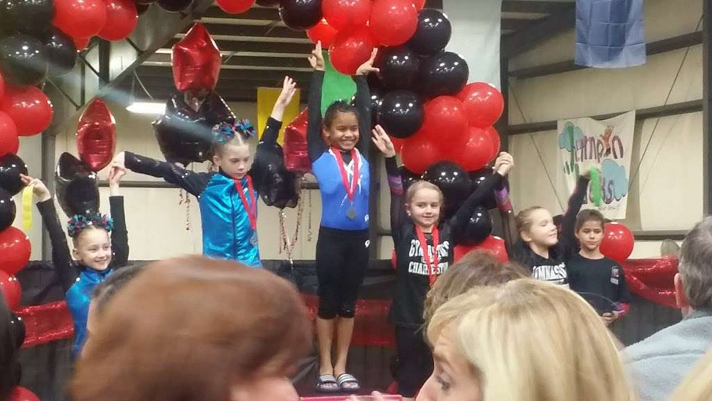 Next Level Gymnastics Academy | 732 Mt Gallant Rd, Rock Hill, SC 29730, USA | Phone: (803) 327-3547