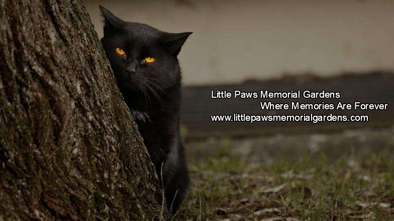 Little Paws Memorial Gardens | United States | Phone: (704) 441-4059