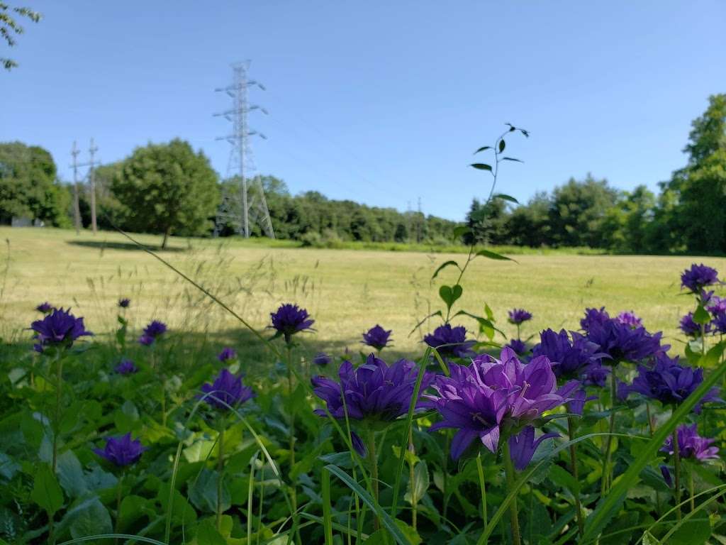 Dickerson Mine Preserve | Mine Hill Township, NJ 07803, USA