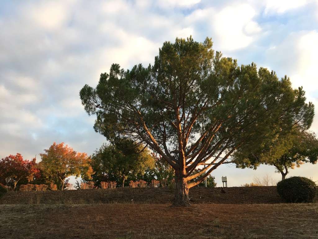 Green Belt Private Park | Pleasanton, CA 94566, USA