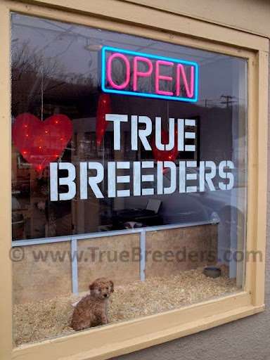 True Breeders | 47 Ethan Allen Hwy, Ridgefield, CT 06776, USA | Phone: (860) 497-5179